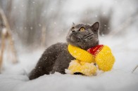 Морози відступають: в Україну знову йде 