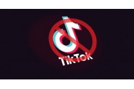10-річна школярка померла через челендж у TikTok