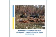 На Волині керівник підприємства незаконно зрубував дерева у заповіднику