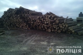 На Волині провели обшуки на пилорамах: вилучили незаконну деревину