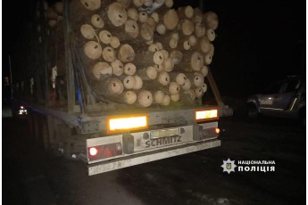 На Волині затримали вантажівку, яка перевозила незаконну деревину (фото)