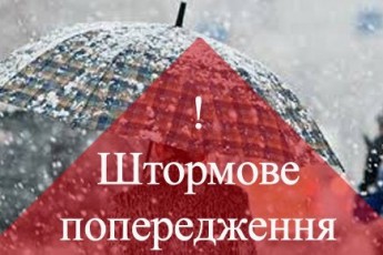 В Україні оголосили штормове попередження через сніг та хуртовини