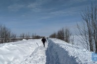 Не дійшла додому: на Волині посеред дороги знайшли труп жінки