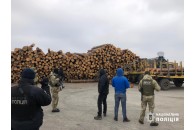 Близько сотні кубів вилученої деревини та бурштин: у районі на Волині тривають масштабні обшуки (фото/відео)