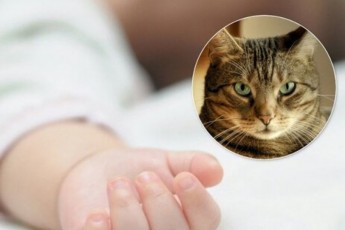 На Рівненщині кіт задушив 4-місячну дитину