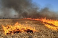 У волинському заказнику − пожежа (відео)