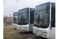 Вулицями Луцька курсуватимуть нові екологічні автобуси (фото)