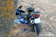 На Волині мотоцикліст на швидкості врізався у дерево