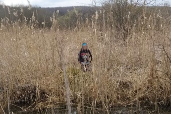 Живий: на Волині зниклого другокласника знайшли в болоті