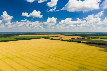 В українців хочуть забрати право на отримання безкоштовних гектарів землі