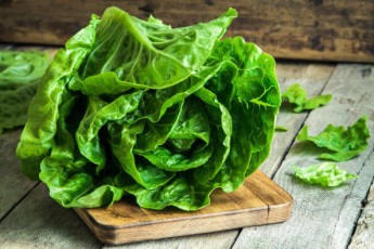 Названі цілющі властивості листового салату