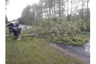 На Волині негода наробила біди