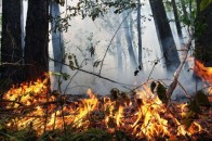 На Волині – надзвичайний рівень пожежної небезпеки