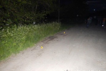 Раптово вибіг на дорогу: повідомили деталі аварії на Волині, у якій неповнолітній збив 5-річного хлопчика