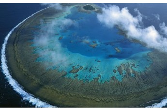 Великий Бар'єрний риф у небезпеці через зміни клімату