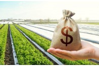 Ціна на сільськогосподарські землі в Україні щороку зростатиме на 7-10%, – міністр