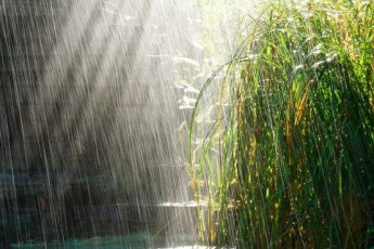 Дощі, грози та шквали: прогноз погоди на 4 липня