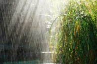 Дощі, грози та шквали: прогноз погоди на 4 липня