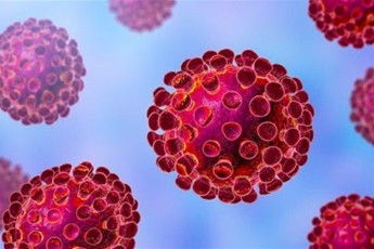 В Україні виявили понад 500 нових хворих на коронавірус