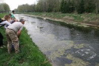 Канали центрального парку в Луцьку очистять за 680 тисяч