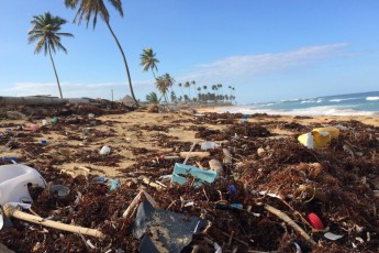 Екологи назвали Coca-Cola головною причиною знищення пляжів