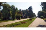 У центральному парку Луцька за 195 тисяч гривень «підлатають» пішохідні доріжки