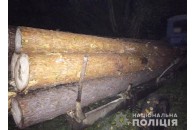 На Любомльщині вилучили сумнівну деревину